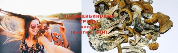 гидропоника Заволжск