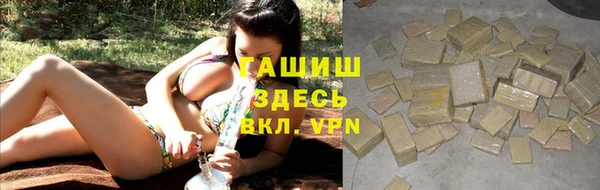 PSILOCYBIN Заводоуковск