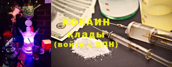 индика Заволжье