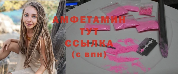 индика Заволжье