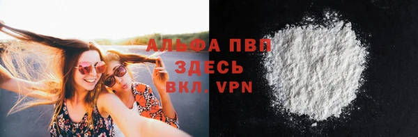 индика Заволжье