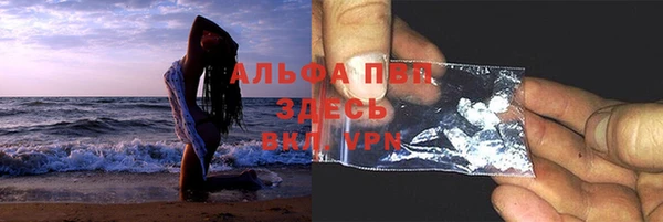 индика Заволжье