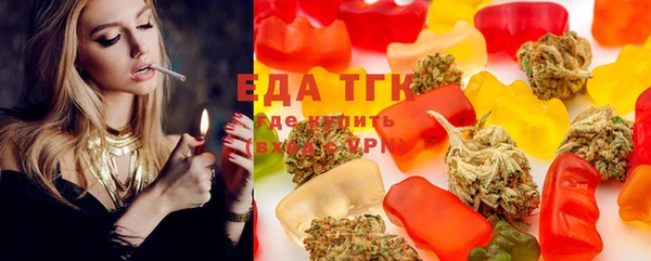 индика Заволжье