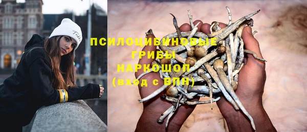 гидропоника Заволжск
