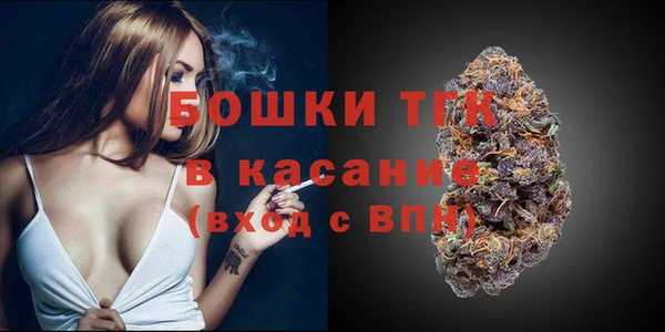 индика Заволжье