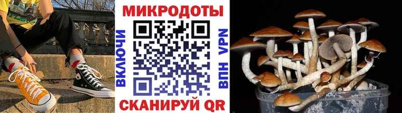 mega как войти  Сасово  Галлюциногенные грибы ЛСД 
